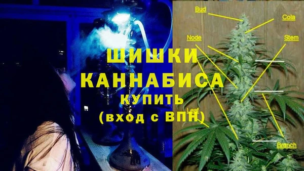 метадон Ладушкин