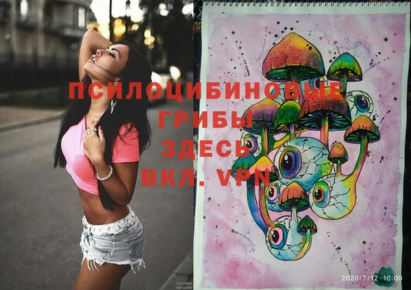 метадон Ладушкин