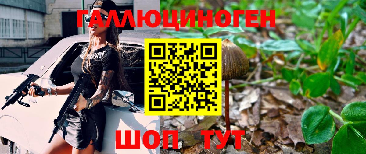 Псилоцибиновые грибы Cubensis Томск